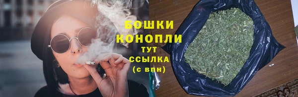 стафф Богданович